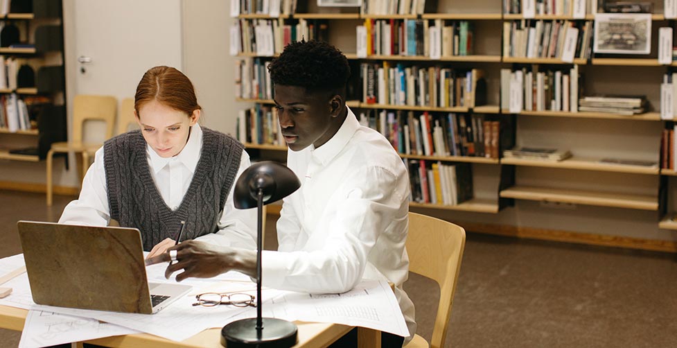 What is higher education